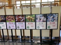 -黔蘑菇四季餐厅(观山湖店)