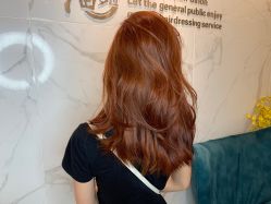 -潘多拉Hairsalon