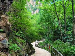 -九龙潭景区