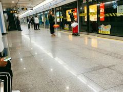 -鞍山新村(地铁站)