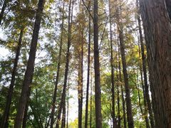 -乌镇望津里精品酒店