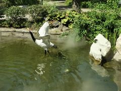 -广富林宰相府酒店·水云间
