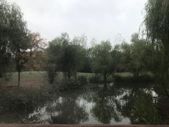 -梁鸿国家湿地公园