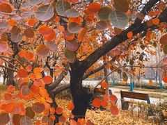 -长安大学(北校区)