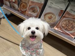 -阿嬷手作(成都万象城店)