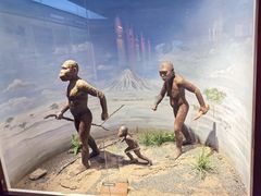 -国家自然博物馆