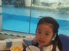 -帝企鹅自助餐厅•儿童岛•真企鹅(长隆企鹅酒店)