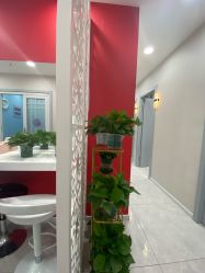 -晶奕空间专业脱毛连锁机构