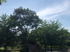 -自然谷恐龙园