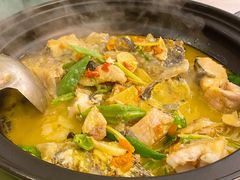 -饭怕鱼·黄焖鲟龙鱼(湖大店)