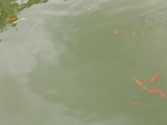 -安溪清水岩