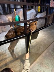 -酷嗒动物文化乐园(cutezoo西溪乐天城店)