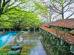 -喜洲吧·江畔老船厂·庭院餐厅(喜临院店)