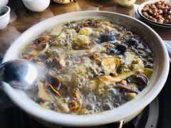 -杨记山珍鸡煲菌汤锅