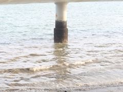 -演武大桥观景平台