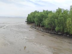 -深圳湾公园(南山区)