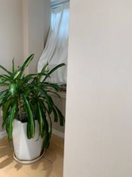 -HEYAN长风荷妍专业脱毛美肤

