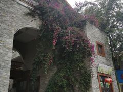 -北川巴拿恰