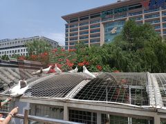 -泉城广场