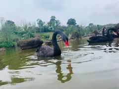 -两江国际影视城