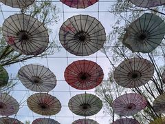 -长春北湖公园