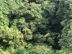 -海口火山口国家地质公园