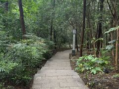 -云龙山
