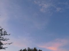 -布尔津河堤夜市