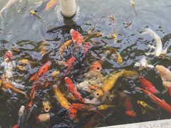 -中国宣纸文化园