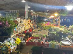 -曲阳花鸟市场(曲阳路店)