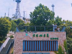 -紫金山山顶公园