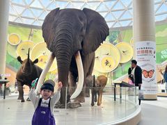 -陕西自然博物馆