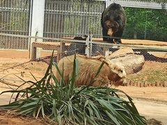 -昆明动物园