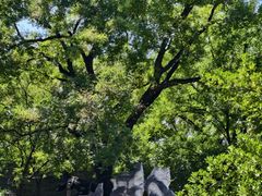 -泰山风景名胜区-普照寺