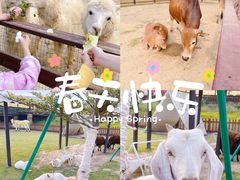 -盈香心动乐园