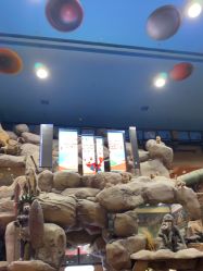 -卡通尼·Safari非洲探索乐园·生日会(金桥国际商业广场店)