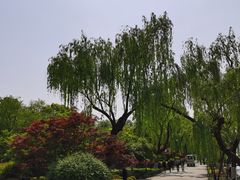 -西湖天地