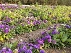 -长春世界雕塑园冰雪艺术天地