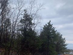 -帽儿山国家森林公园