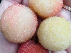 -盒马鲜生(馥邦国际店)