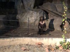 -清迈夜间动物园