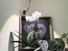 -本無咖啡·BeanWood Coffee