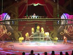 -珠海横琴长隆《卡卡虎奇遇记》