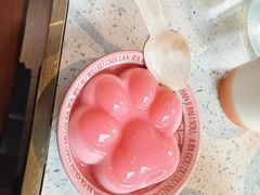 -猫抓烤肉(春熙路店)