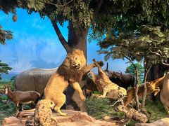 -国家自然博物馆