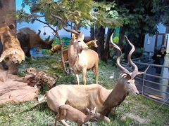 -国家自然博物馆