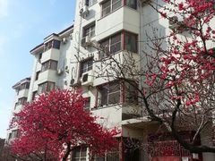 android_upload_pic-北京市海淀外国语实验学校