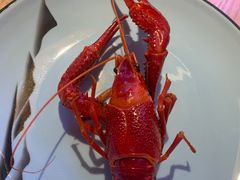 -蚝翅·海鲜粥·烧烤·宁夏滩羊季(玉米楼店)