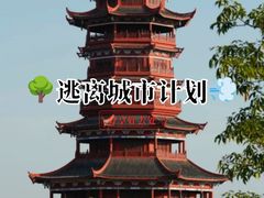 -厦门明发国际大酒店(会展中心环岛路店)