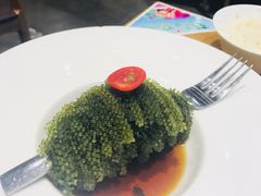 -菩提树·素食餐厅(汇智国际商业中心店)